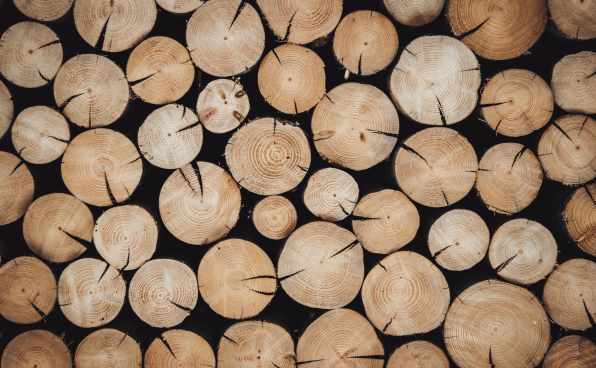 Holz wird Mangelware - Holzpackmittel-Branche schlägt Alarm